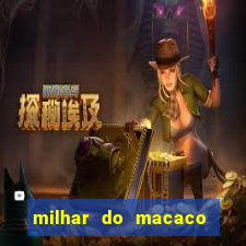 milhar do macaco que mais saem no jogo do bicho